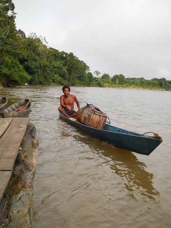 johan2.jpg johan2.jpg