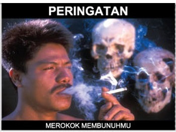 Health warnings like this appear on some billboards in Indonesia Rosser 2 Warning that appears on billboards