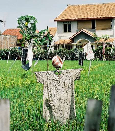 toumbourou08.jpg toumbourou08.jpg